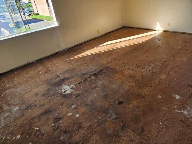 156 Garrison Avenue, San Francisco CA: https://media.crmls.org/mediaz/27d8ba26-44b4-4251-89e1-f3f1b229ed0e.jpg