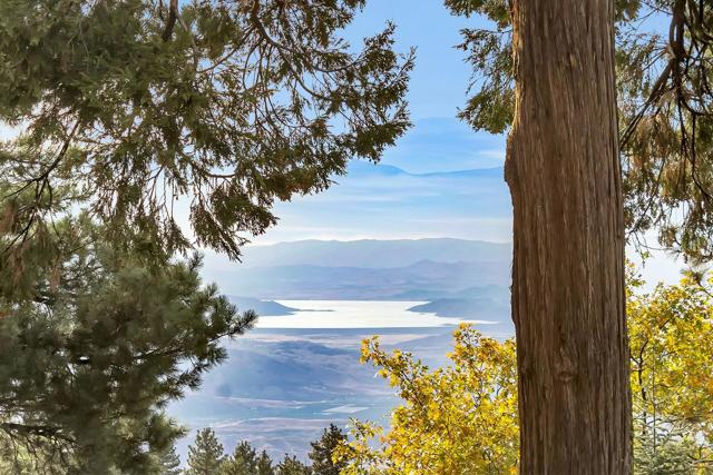 25281 Deer Path, Idyllwild CA: https://media.crmls.org/mediaz/27e170ac-6c4b-4968-ae2b-12534e3fba68.jpg