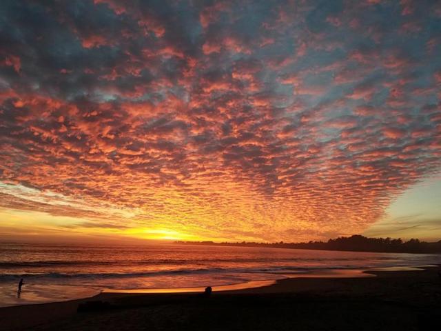 925 Skyward Drive, Aptos CA: https://media.crmls.org/mediaz/27edd5dc-4ec0-41d7-8844-d84df833565e.jpg