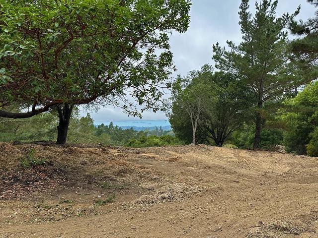 5601 Freedom Boulevard, Aptos CA: https://media.crmls.org/mediaz/27f16801-6639-4203-9abe-4e6fd03ba9f3.jpg