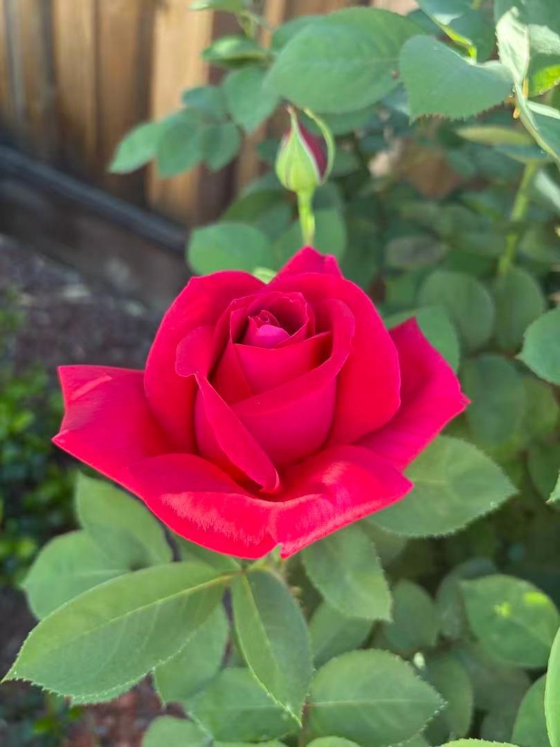 https://media.crmls.org/mediaz/28162c87-a49a-4806-875a-30b65cc6f1e5.jpg?preset=X-Large
