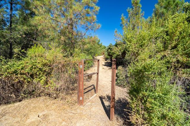 924 Croy Ridge Road, Gilroy CA: https://media.crmls.org/mediaz/281e73e0-9641-42be-9cb2-1a786d6d772e.jpg