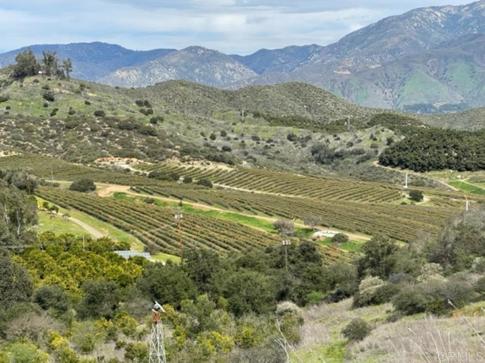 MLS #NDP2410587 image #12