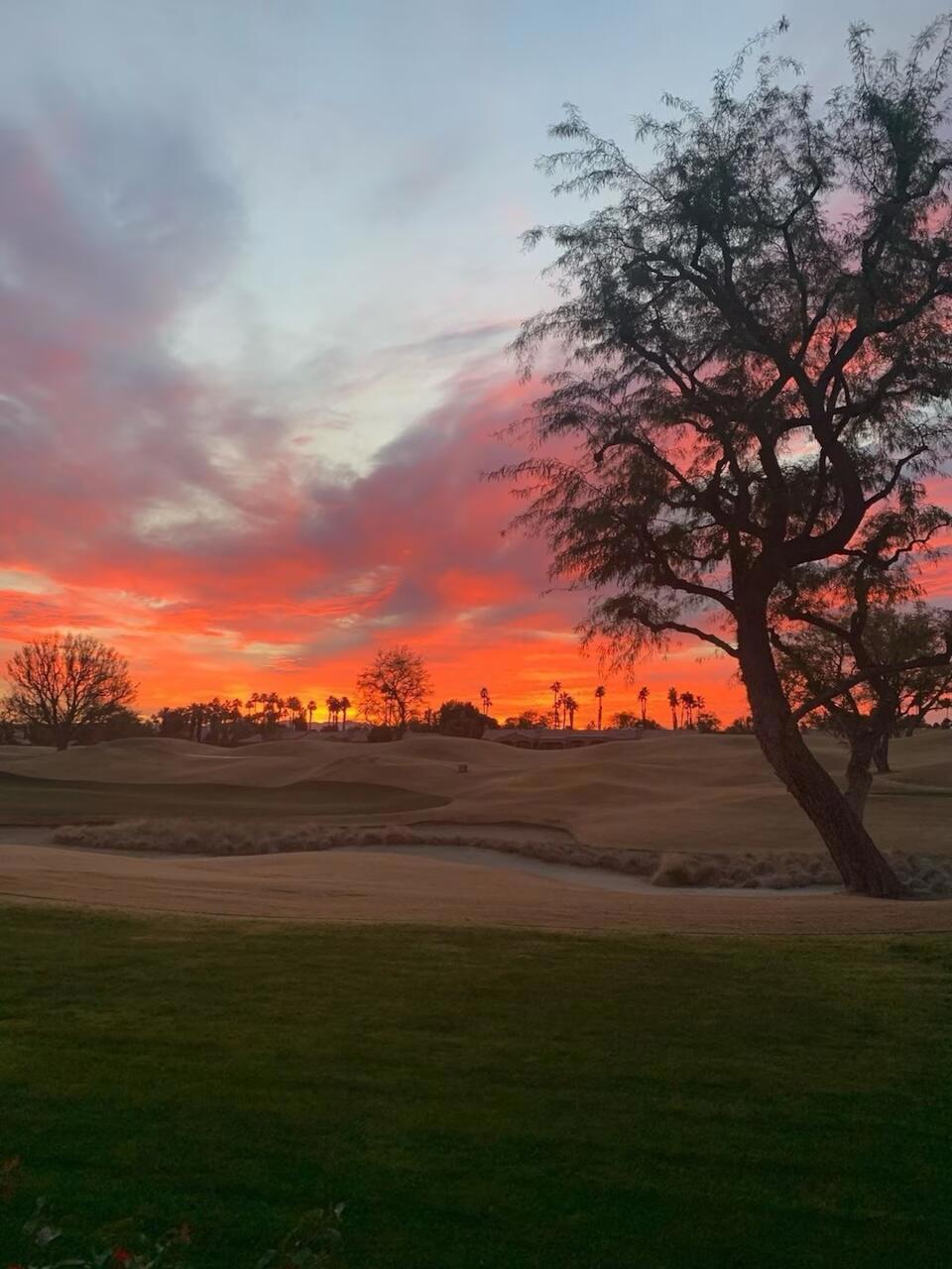 MLS #219138327DA image #17