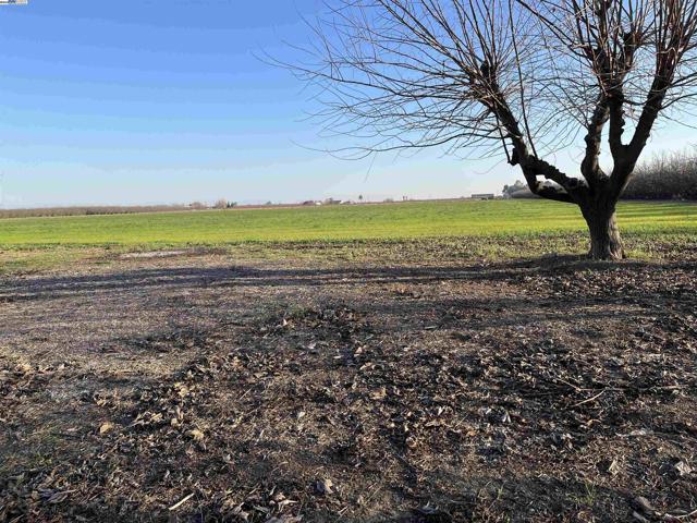1290 Orange Ave, Patterson CA: https://media.crmls.org/mediaz/282563d3-57ee-4acc-b6c9-7620329def00.jpg