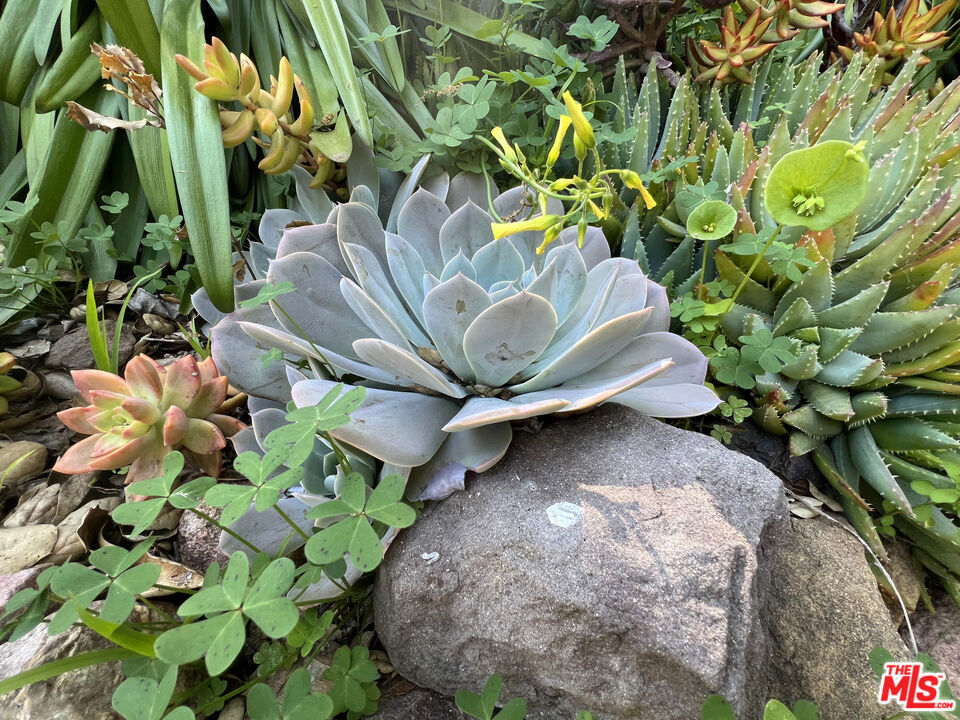 https://media.crmls.org/mediaz/282d60a7-8227-494e-a98c-2b9d04db3704.jpg?preset=X-Large