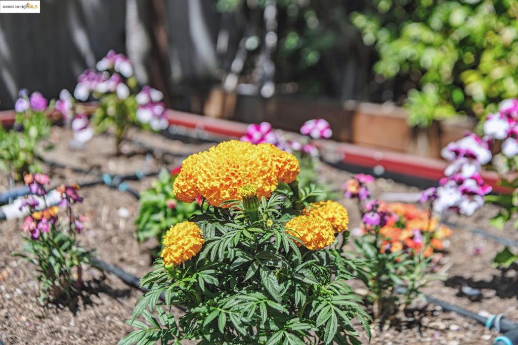https://media.crmls.org/mediaz/283bc570-4be5-4883-9642-6f26c14b097f.jpg?preset=X-Large