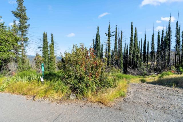 1410 Pinecrest Drive, Boulder Creek CA: https://media.crmls.org/mediaz/28416046-d2ff-427c-8f17-6cc090221fcc.jpg
