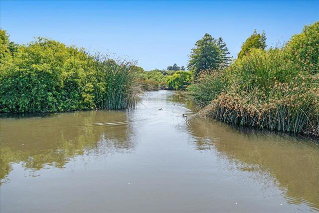 139 Tree Frog Lane, Santa Cruz CA: https://media.crmls.org/mediaz/2854d941-5eb9-4739-8822-aeaa9dd67ebd.jpg