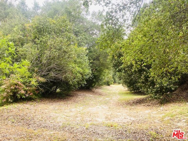 3806 N Glenridge Drive, Sherman Oaks CA: https://media.crmls.org/mediaz/285e5eda-4742-42b4-8279-e82253512f86.jpg