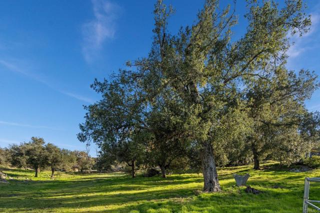 589 Anderson Road, Alpine CA: https://media.crmls.org/mediaz/285e9f2f-2466-401b-bbcd-0c7166fa44c3.jpg