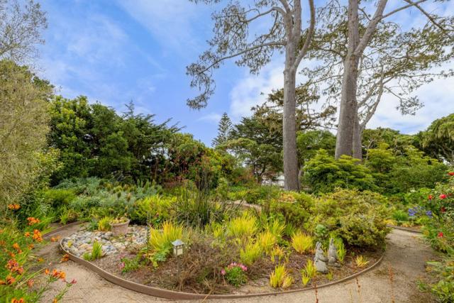 944 Bayview Avenue, Pacific Grove CA: https://media.crmls.org/mediaz/286fc597-a1f5-44cf-a750-277fac5751a5.jpg