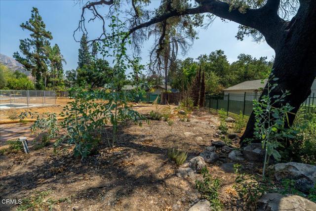 Detail Gallery Image 14 of 29 For 2347 N Altadena Dr, Altadena,  CA 91001 - – Beds | – Baths
