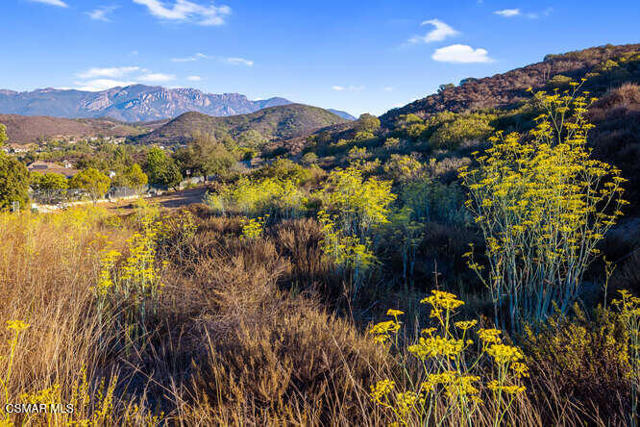 5519 Via Olas, Newbury Park CA: https://media.crmls.org/mediaz/2873fdc4-c8ef-4bdc-99b3-4686064d5a8a.jpg