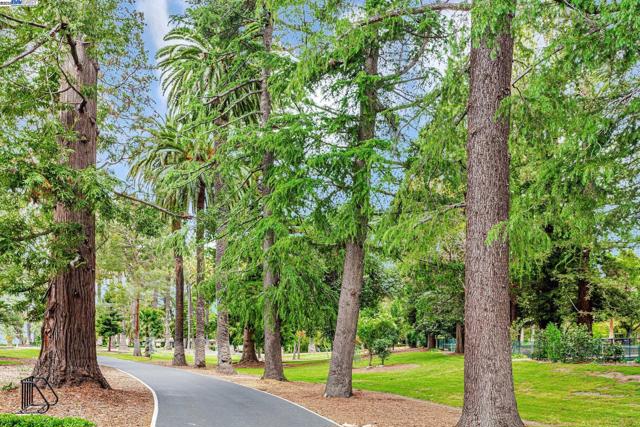 43150 Calle Familia, Fremont CA: https://media.crmls.org/mediaz/28863f8d-fdca-497a-b001-3f478366e3f1.jpg