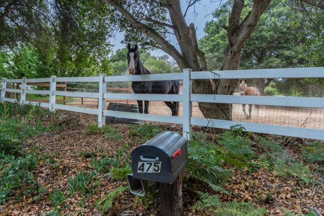 475 Brown Road, San Juan Bautista CA: https://media.crmls.org/mediaz/28903fb5-bb26-4f68-8bf0-ba5e5f2a3822.jpg