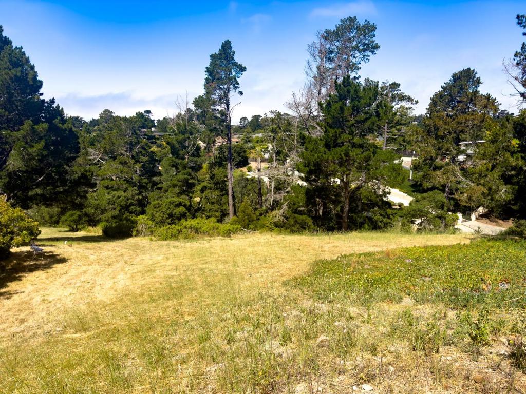 MLS #ML81971263 image #12