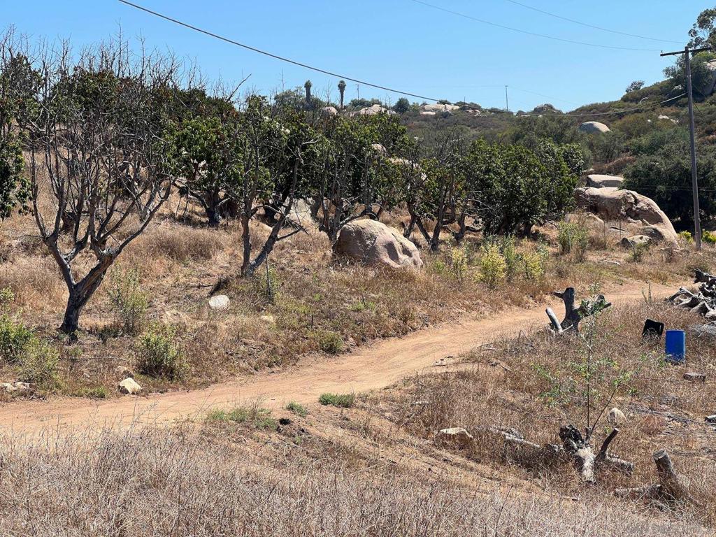 MLS #250037285SD image #30