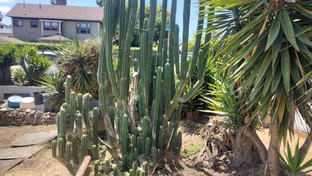 1135 41 26th Street, San Diego CA: https://media.crmls.org/mediaz/289b2a04-8595-4347-aaff-13c4c32d6622.jpg