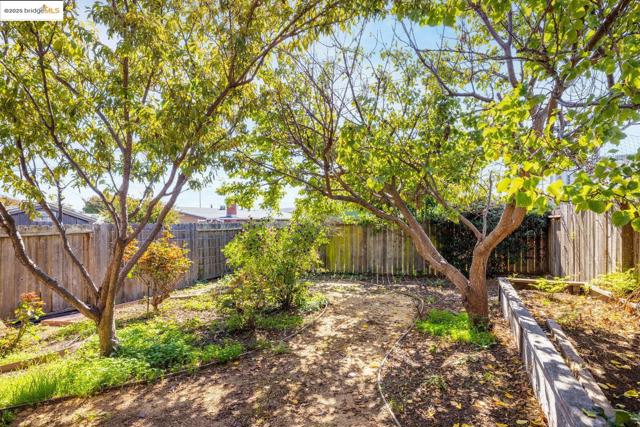View of fenced backyard