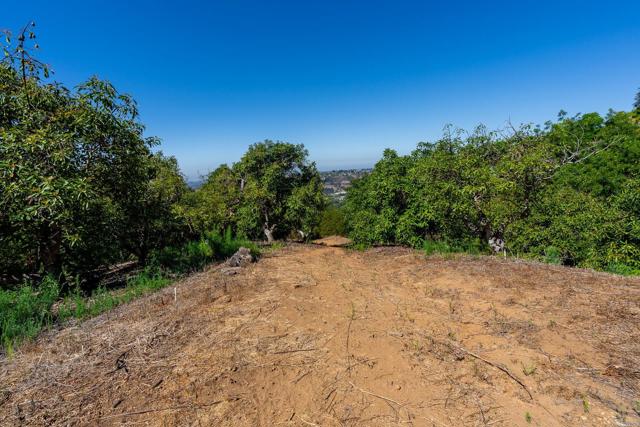 0 Wilt Road, Fallbrook CA: https://media.crmls.org/mediaz/28ab51b3-1b9b-4d19-8ea2-d4ee6cf10f22.jpg