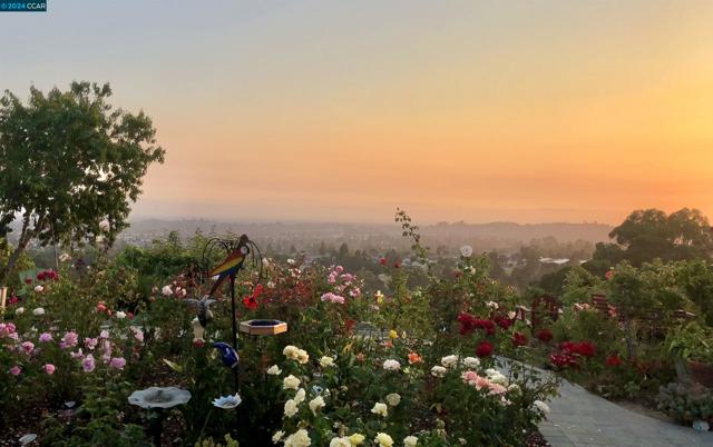 Yard in Bloom