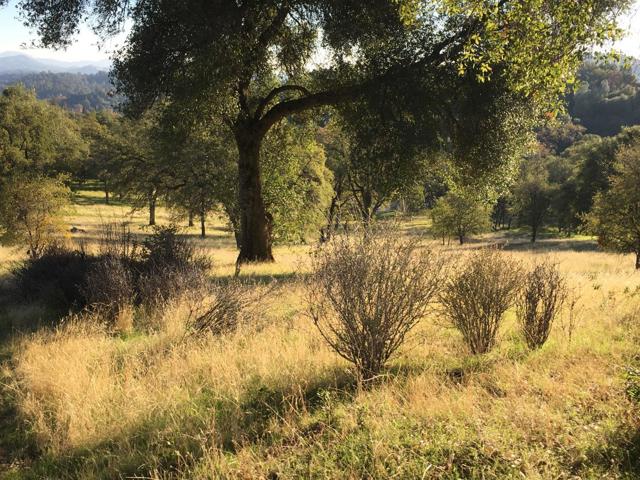 1375 Shaws Flat Road, Sonora CA: https://media.crmls.org/mediaz/28d54b9b-f317-438d-ad4e-bcb48dffddd8.jpg