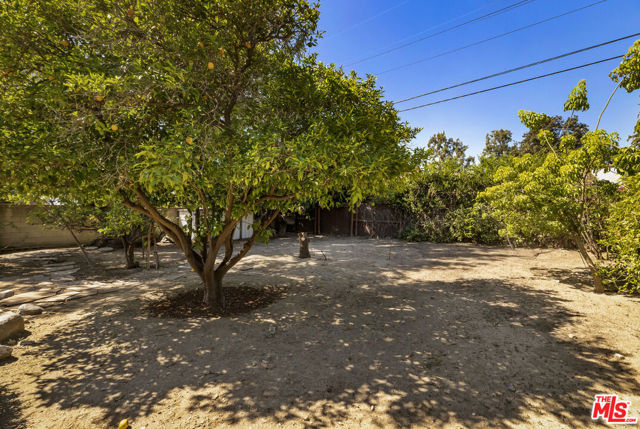 1353 Ruberta Avenue photo 52