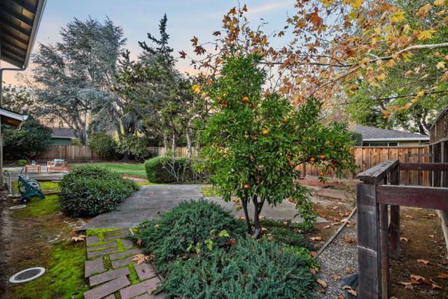 5231 Eileen Drive, San Jose CA: https://media.crmls.org/mediaz/28e1d365-bb31-464e-bfa2-c748debffee6.jpg