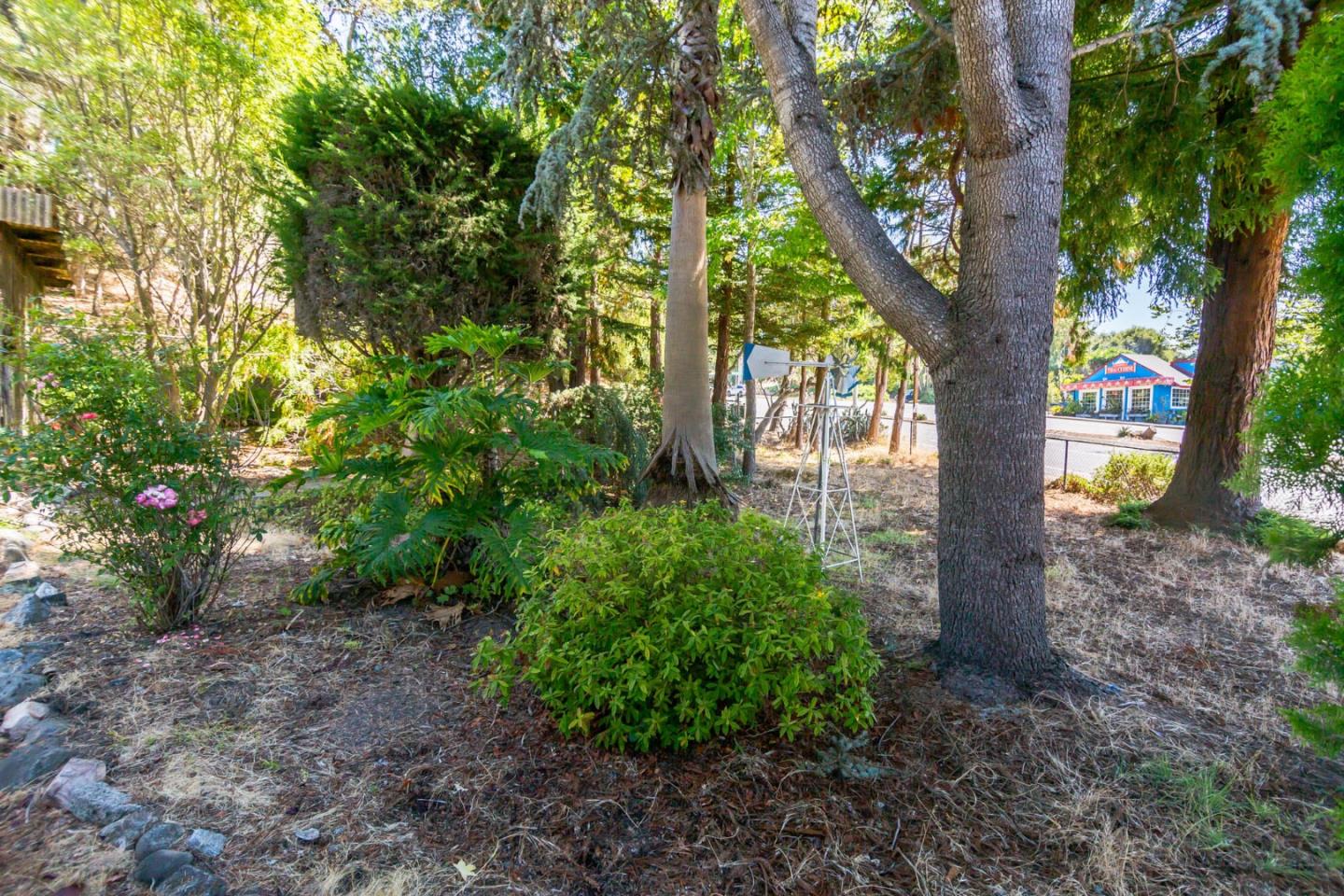 28E496D3 Fcbe 452F Afea A4579B0Fb978 5035 Soquel Drive, Soquel, Ca 95073 &Lt;Span Style='Backgroundcolor:transparent;Padding:0Px;'&Gt; &Lt;Small&Gt; &Lt;I&Gt; &Lt;/I&Gt; &Lt;/Small&Gt;&Lt;/Span&Gt;