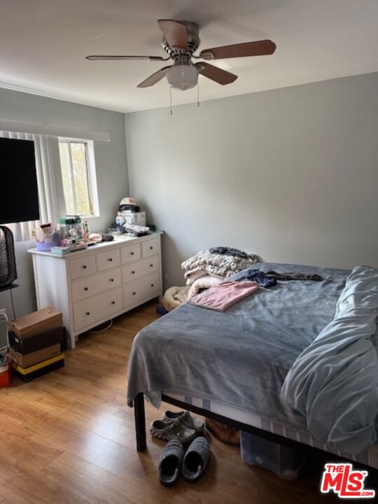 MLS #25569989 img 12