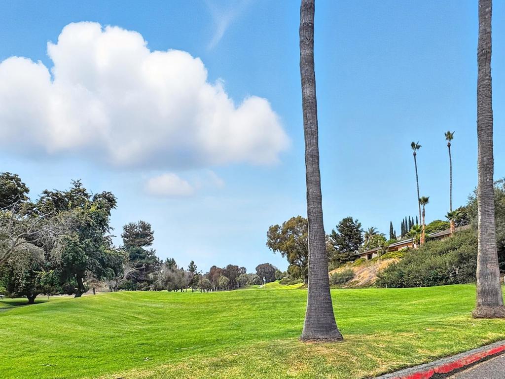 MLS #250036738SD image #34