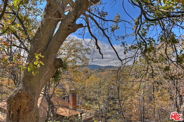 28665 Zion Drive, Lake Arrowhead CA: https://media.crmls.org/mediaz/28f887fa-4369-4011-8ca3-797eeaa060e1.jpg