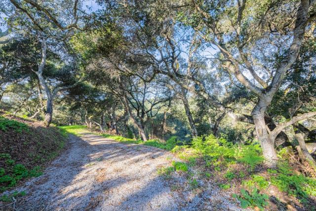 18924 Vierra Canyon Road, Prunedale CA: https://media.crmls.org/mediaz/29024d06-1f5f-4bc4-8b90-347ec06ff4ee.jpg