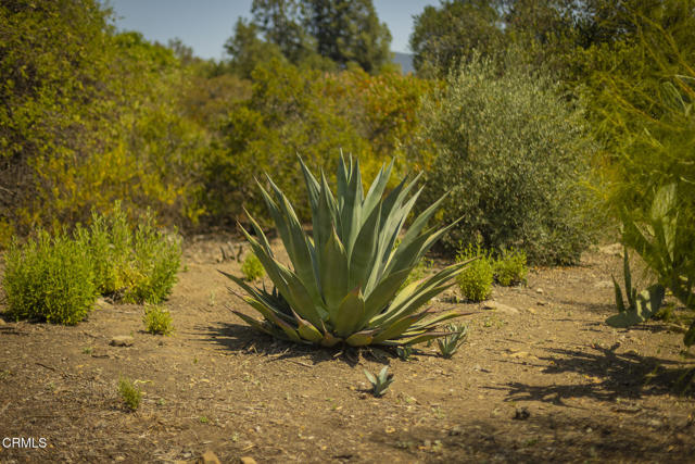 Detail Gallery Image 5 of 13 For 1 Henderson Rd, Ojai,  CA 93023 - – Beds | – Baths