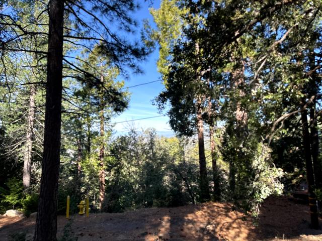 0 Green Craig, Idyllwild CA: https://media.crmls.org/mediaz/2905fee8-8d41-4eeb-844c-07435e11fc79.jpg