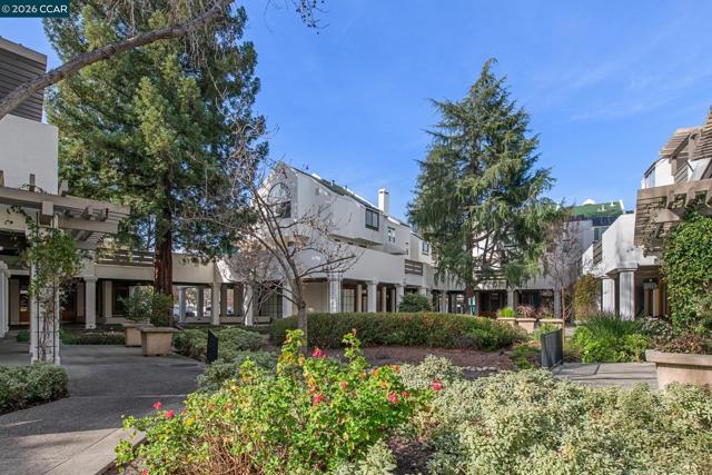 68 Mozden Ln, Pleasant Hill CA: https://media.crmls.org/mediaz/2915d559-1e85-4a35-9c89-35daf52705e6.jpg