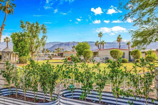 72967 Cabazon Peak Drive, Palm Desert CA: https://media.crmls.org/mediaz/29206b1b-cf38-444d-b38a-a853f6b679b8.jpg