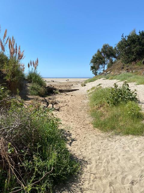 22 Seascape Resort Drive, Aptos CA: https://media.crmls.org/mediaz/29409009-d135-44a9-9b7b-6f3b0838f09c.jpg