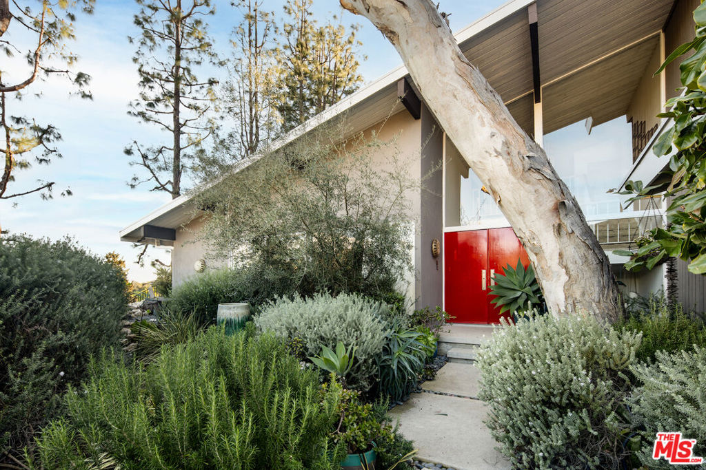 2419 Banyan Drive — Mid Century Modern