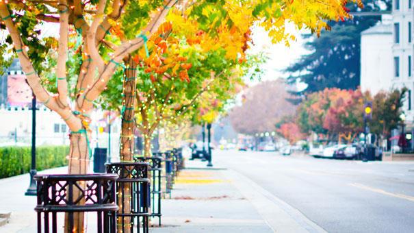 100 E Middlefield Road, Mountain View CA: https://media.crmls.org/mediaz/294c6f6f-462f-4969-89a3-f40dcdfe060d.jpg