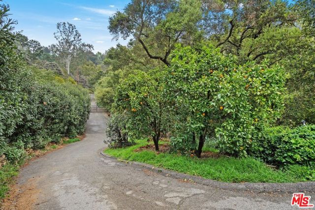 1809 Melhill Way, Los Angeles CA: https://media.crmls.org/mediaz/294db56f-4b30-4dcc-b300-4c426ab54cda.jpg