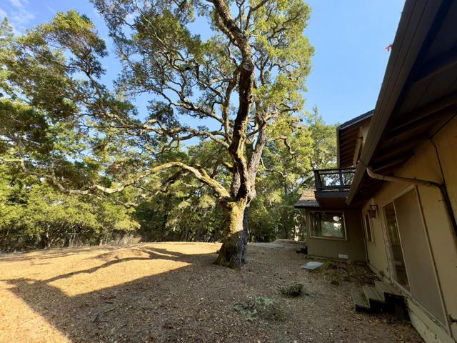 46 Morse Lane, Redwood City CA: https://media.crmls.org/mediaz/294ff735-6498-47ea-b9d5-49ff26a58187.jpg
