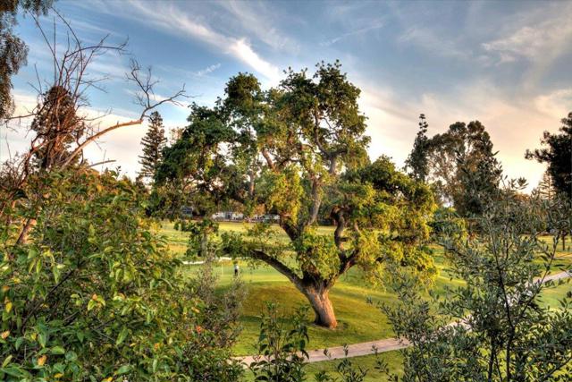 11260 Canyon Drive, San Jose CA: https://media.crmls.org/mediaz/29563843-adcb-40f9-b3dc-fcdd0d749221.jpg