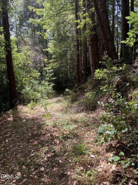 Detail Gallery Image 21 of 41 For 23501 Branscomb Rd, Westport,  CA 95488 - – Beds | – Baths