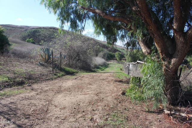 Detail Gallery Image 18 of 32 For 1672 E Los Angeles Ave, Somis,  CA 93066 - – Beds | – Baths