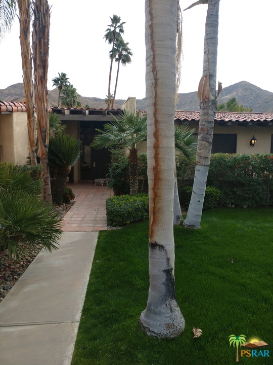 3600 Bogert Trail Palm Springs, California Mid-century style, single story, believed to be designed by William Cody, Architect. Complex was built in 1979 which means you get more space in every room, bigger closets, and grounds with mature trees. Views from most windows of mountains, fruit trees, palm trees, lawns. Patios at front door, and from spacious living room, and both bedrooms. Light, privacy and serenity here in the exclusive enclave of Andreas Hills in South Palm Springs. Detached 2 car garage has mini-split mounted a/c system. Salt water heated pool. 4 tennis courts. Hiking trails nearby. HOA is now allowing patio enlargements upon HOA approval of plans and permit.