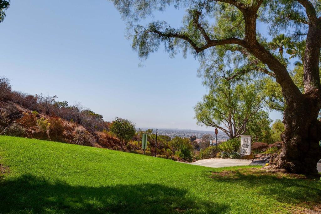 11115 Affinity Court #1