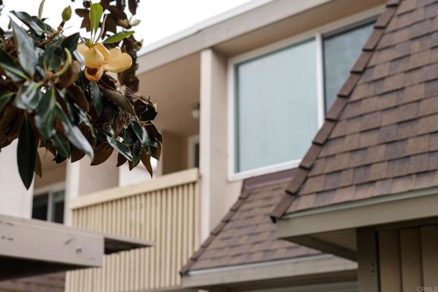 Front Image Thumbnail for CRNDP2504356