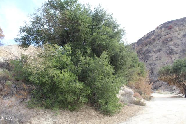 Detail Gallery Image 11 of 27 For 31029 Hasley Canyon Rd, Castaic,  CA 91384 - – Beds | – Baths